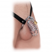Кольцо верности Extreme Chastity Belt с фиксацией головки - Pipedream - купить с доставкой в Майкопе