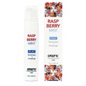 Возбуждающий гель Raspberry Mint с ароматом малины и мяты - 15 мл. - Exsens - купить с доставкой в Майкопе