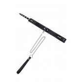 Кожаный двухслойный ошейник с белой строчкой и поводком - Pecado - купить с доставкой в Майкопе