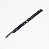 Черный кожаный ошейник с золотистой фурнитурой - Crazy Handmade - купить с доставкой в Майкопе