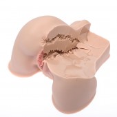 Мастурбатор-полуторс Naked Factory Kate - Naked Factory - в Майкопе купить с доставкой