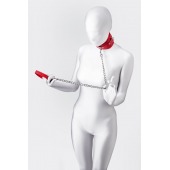 Красный ошейник с подкладкой из меха - ToyFa - купить с доставкой в Майкопе