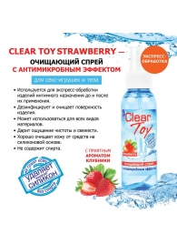 Очищающий спрей для игрушек CLEAR TOY Strawberry - 100 мл. - Биоритм - купить с доставкой в Майкопе