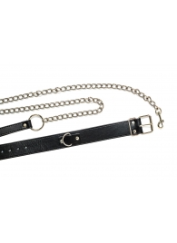 Черный ошейник с поводком Wild - Lola Games - купить с доставкой в Майкопе