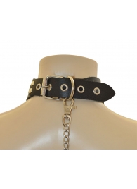 Ошейник  Веселый Роджер - Sitabella - купить с доставкой в Майкопе