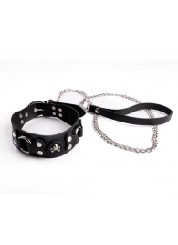 Ошейник  Веселый Роджер - Sitabella - купить с доставкой в Майкопе