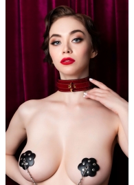 Красный ошейник из лакированного материала - ToyFa - купить с доставкой в Майкопе