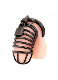 Черная металлическая клетка с замком Deluxe Chastity Cage - BlueLine - купить с доставкой в Майкопе