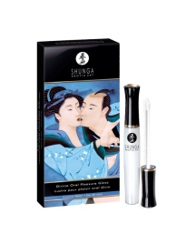 Возбуждающий блеск для губ с ароматом кокоса  Божественное удовольствие  - 10 мл. - Shunga - купить с доставкой в Майкопе