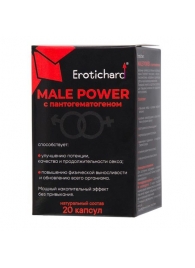Капсулы для мужчин Erotichard male power с пантогематогеном - 20 капсул (0,370 гр.) - Erotic Hard - купить с доставкой в Майкопе