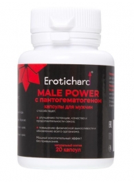 Капсулы для мужчин Erotichard male power с пантогематогеном - 20 капсул (0,370 гр.) - Erotic Hard - купить с доставкой в Майкопе