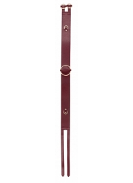 Бордовый ремень Halo Waist Belt - размер L-XL - Shots Media BV - купить с доставкой в Майкопе