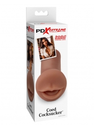 Мастурбатор-ротик Coed Cocksucker - Pipedream - в Майкопе купить с доставкой