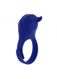 Синее эрекционное виброкольцо с клиторальной подушечкой и пультом ДУ Adjustable Fun Ring - Zero Tolerance - в Майкопе купить с доставкой