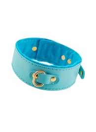 Голубой двуслойный кожаный ошейник с подкладкой из фетра - Pecado - купить с доставкой в Майкопе
