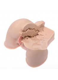 Мастурбатор-полуторс Naked Factory Kate - Naked Factory - в Майкопе купить с доставкой