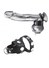 Утяжка для мошонки и пениса Cock Ring With 1  Ball Stretcher And Optional Weight Ring - BlueLine - купить с доставкой в Майкопе