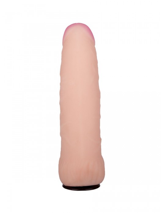 Черный пояс-трусики с двумя насадками  Экзотик-Sara  - 16,5 и 11 см. - LOVETOY (А-Полимер) - купить с доставкой в Майкопе