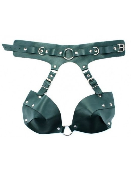 Изумрудная сбруя из ошейника с лифом Ladys Arsenal - БДСМ Арсенал - купить с доставкой в Майкопе