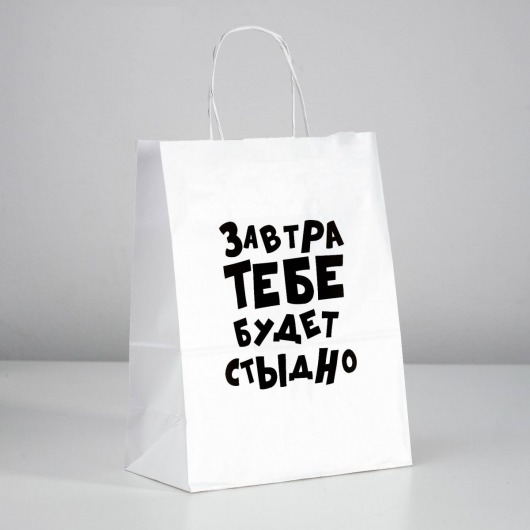 Подарочный пакет  Завтра тебе будет стыдно  - 30 х 24 см. - UPAK LAND - купить с доставкой в Майкопе