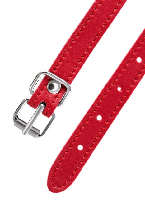 Красная маска Anonymo из искусственной кожи - ToyFa - купить с доставкой в Майкопе