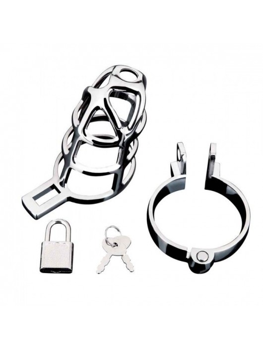 Серебристая металлическая клетка для члена с замком Enslave Cock Cage - BlueLine - купить с доставкой в Майкопе