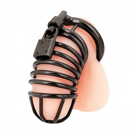 Черная металлическая клетка с замком Deluxe Chastity Cage - BlueLine - купить с доставкой в Майкопе