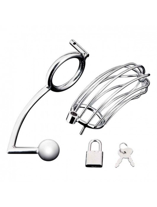 Серебристая металлическая клетка с анальным стимулятором Cock Cage - BlueLine - купить с доставкой в Майкопе