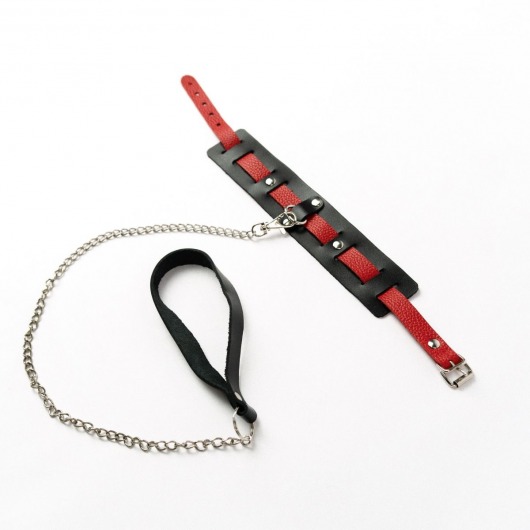 Черный ошейник с красным ремешком и поводком - Crazy Handmade - купить с доставкой в Майкопе