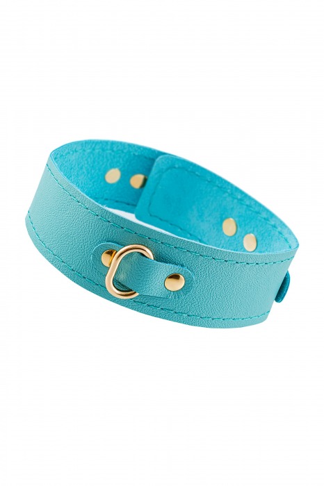 Голубой кожаный однослойный ошейник с прошивкой - Pecado - купить с доставкой в Майкопе