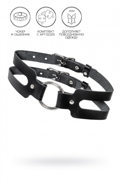 Черный кожаный чокер-ошейник из двух ремешков - Pecado - купить с доставкой в Майкопе