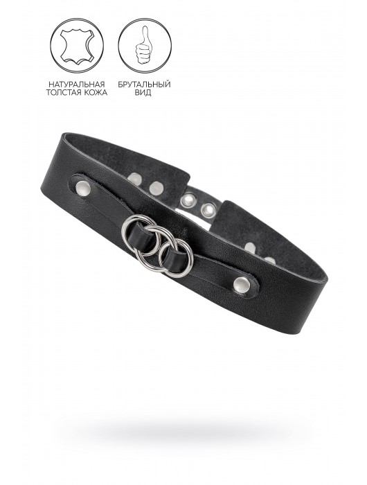 Черный чокер-ошейник со связанными кольцами на подложке - Pecado - купить с доставкой в Майкопе