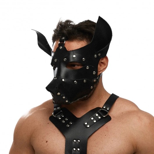 Черная кожаная маска «Собака» - Crazy Handmade - купить с доставкой в Майкопе