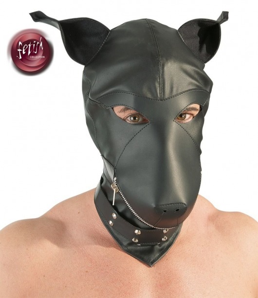 Шлем-маска Dog Mask в виде морды собаки - Orion - купить с доставкой в Майкопе