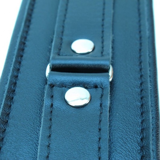 Ошейник из гладкой кожи - БДСМ Арсенал - купить с доставкой в Майкопе