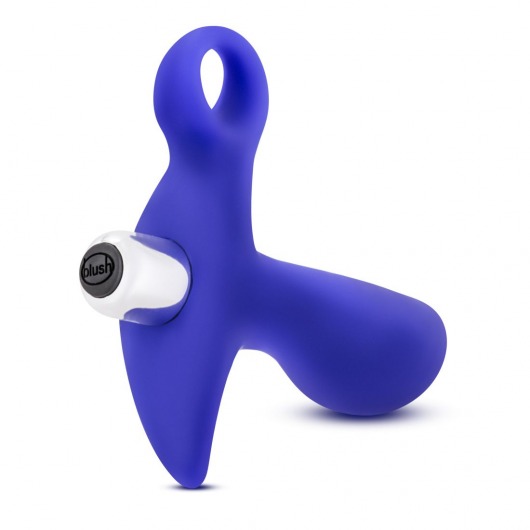 Синий стимулятор простаты с ручкой-кольцом Performance Prostimulator 02 - Blush Novelties - в Майкопе купить с доставкой