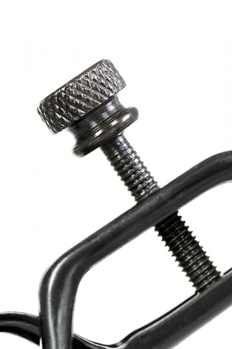 Черно-золотистые зажимы для сосков TOYFA Theatre - ToyFa - купить с доставкой в Майкопе