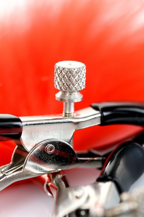 Зажимы для сосков с красным пухом Theatre - ToyFa - купить с доставкой в Майкопе